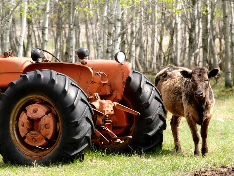 Test Test 2015 Cletrac tractor Test